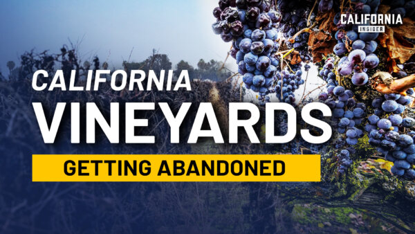 Why California’s Wine Industry Is Under Strain Right Now