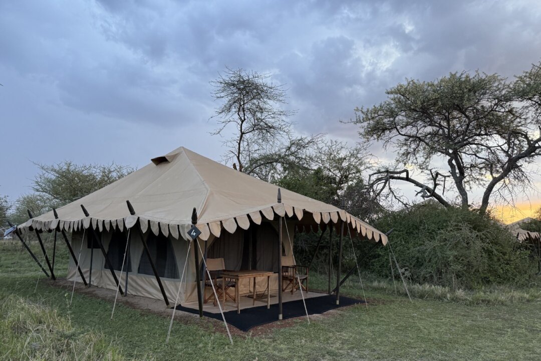 A Magical Safari Reveals Tanzania