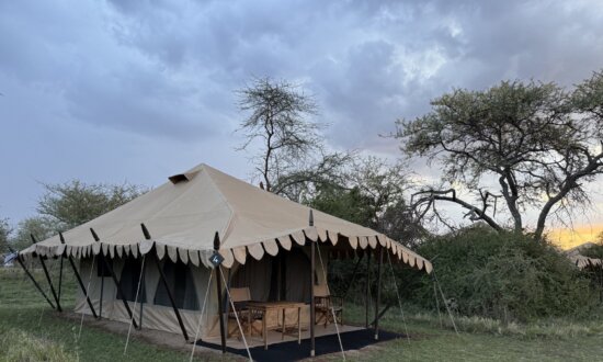 A Magical Safari Reveals Tanzania