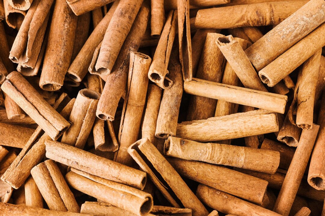 (Krasula/Shutterstock)