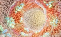 Your Gut Microbiome Could Affect Colon Cancer—What You Can Do