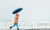 Storms Don’t Break Us, They Reveal Who We Are