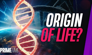 70 Percent of Amino Acids Needed for Life Found on Asteroid: Bonus Segment | NTD Primetime