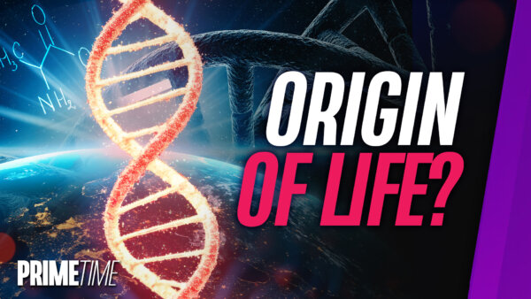 70 Percent of Amino Acids Needed for Life Found on Asteroid: Bonus Segment