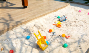 Use Cedar To Build a Large Sandbox