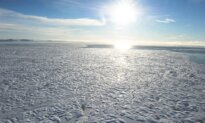 The Northwest Passage Will Be Decided by Capability, Not Law