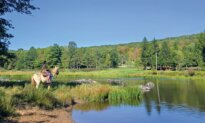 A Camp Hopes to Give Troubled Teens the Chance to Heal Inner Wounds out in Nature