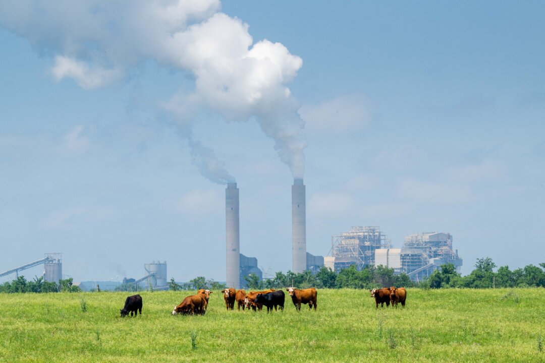 Vanguard, World’s 2nd Largest Fund Manager, Settles Coal Lawsuit With States