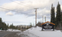 What’s Behind the AI Controversy in the Tumbler Ridge Shooting—and How Is Ottawa Responding?