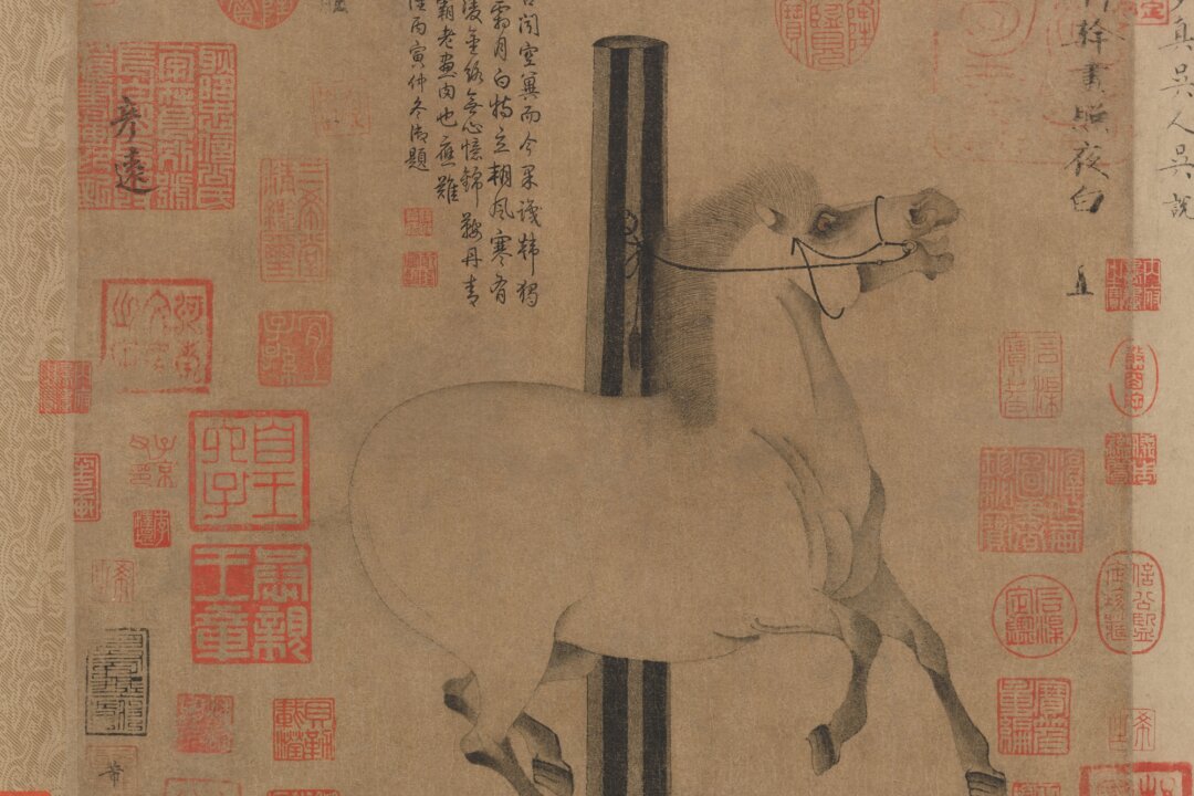 Behold the Beauty:  Infatuation and the Spirited Horse ‘Night-Shining White’