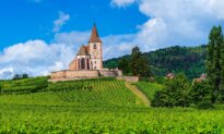 Gorgeous Wines of Alsace