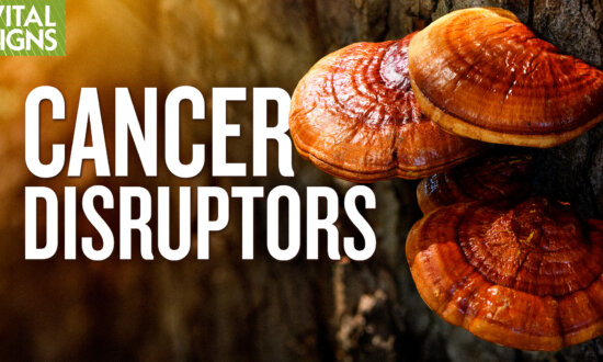 Anti-Cancer: Plants Versus Meds in Activating Immune Shield