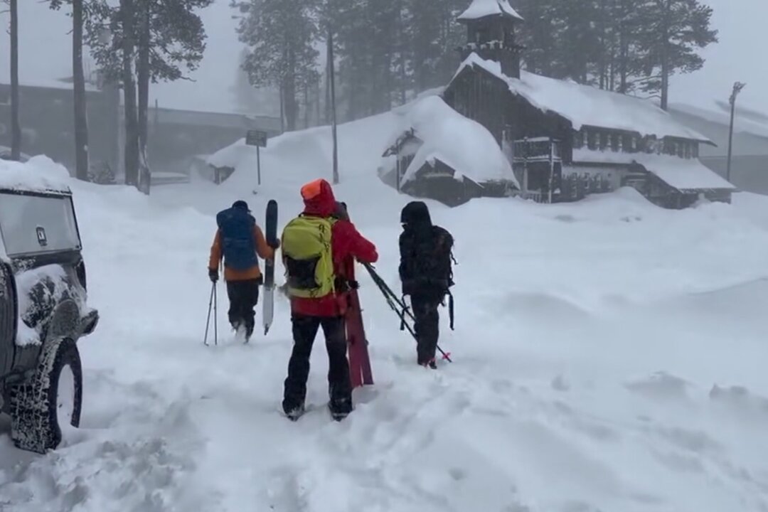 “Tragedy Strikes: 8 Skiers Perish in California Avalanche, Search Continues for 1”