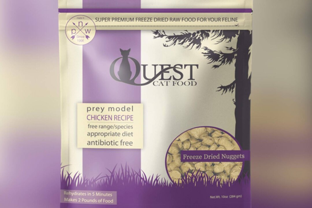 Breaking: FDA Issues Recall for Deficient Cat Food in 10 States
