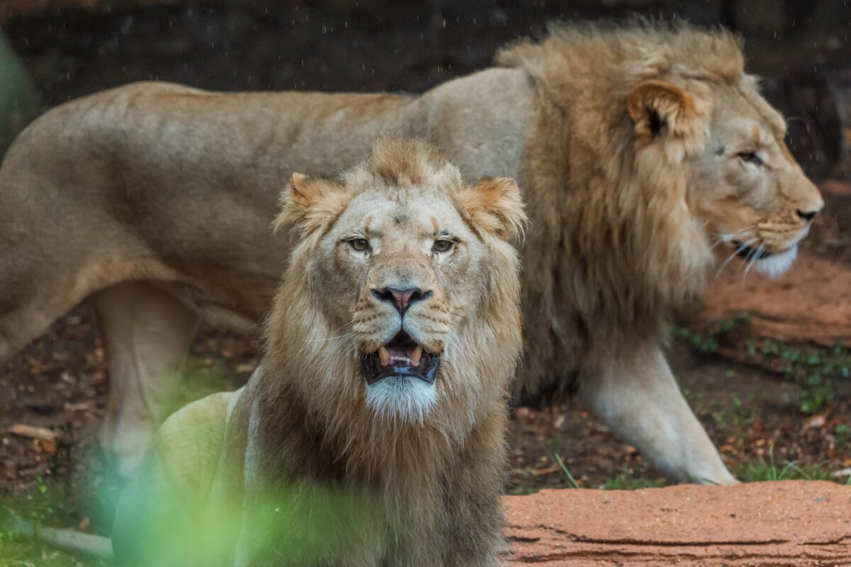 Epoch Times Photo
