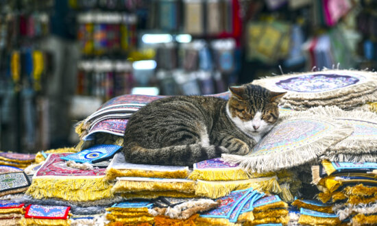 8 Great Literary Cities