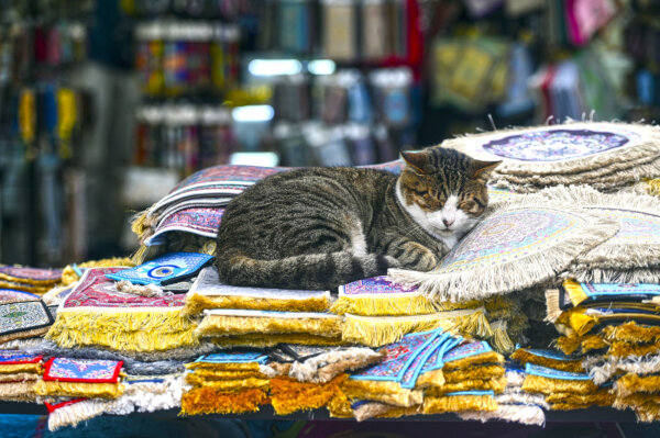 8 Great Literary Cities