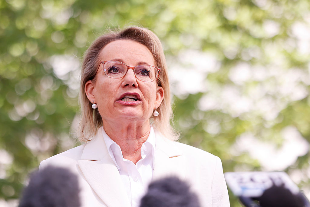 The Unexpected 4-Way Slugfest That Could Define Conservative, or Teal, Politics in Australia