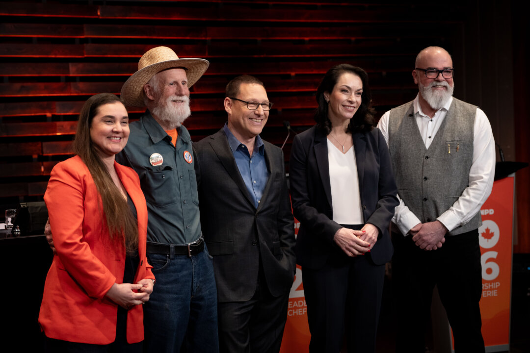 NDP Leadership Candidate Proposes Government-Run Grocery Stores, Telecom Services