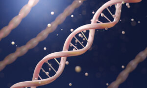 5 Daily Habits That May Influence Your Genes