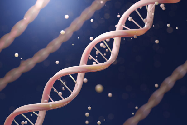 5 Daily Habits That May Influence Your Genes