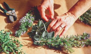 6 Simple Ways to Turn Everyday Herbs Into Healing Remedies