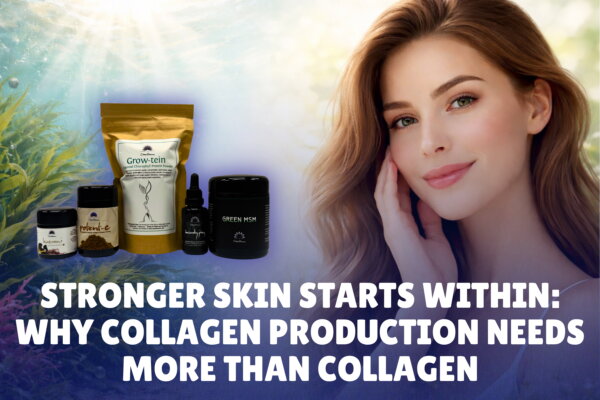Stronger Skin Starts Within: Why Collagen Production Needs More Than Collagen
