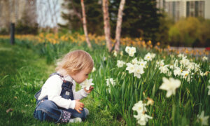 How to Educate a Child Long Before School Begins