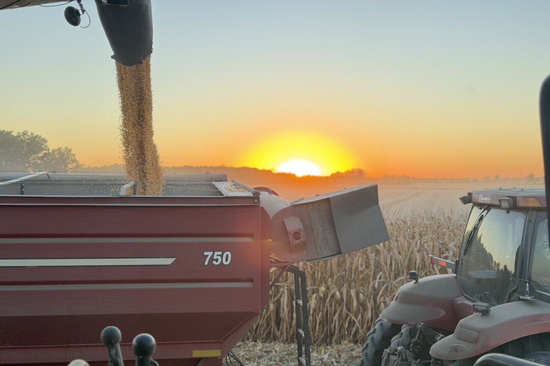 LIVE NOW: House Appropriations Committee Holds Oversight Hearing on Trade, Foreign Agricultural Affairs