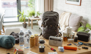 Seismic Safety: What to Do When an Earthquake Hits