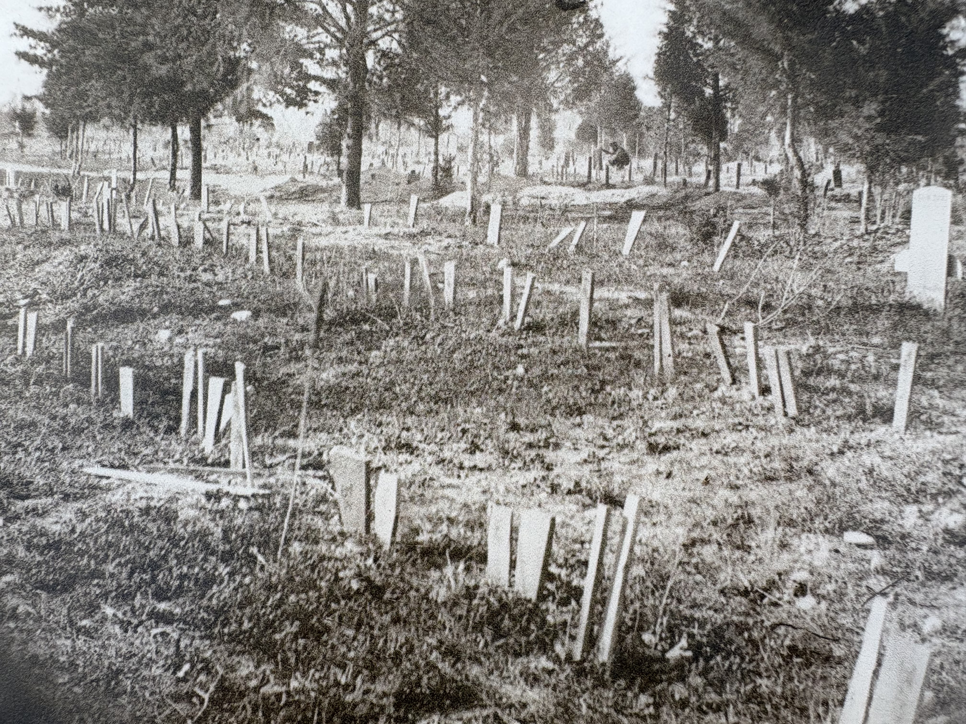 Battle of franklin