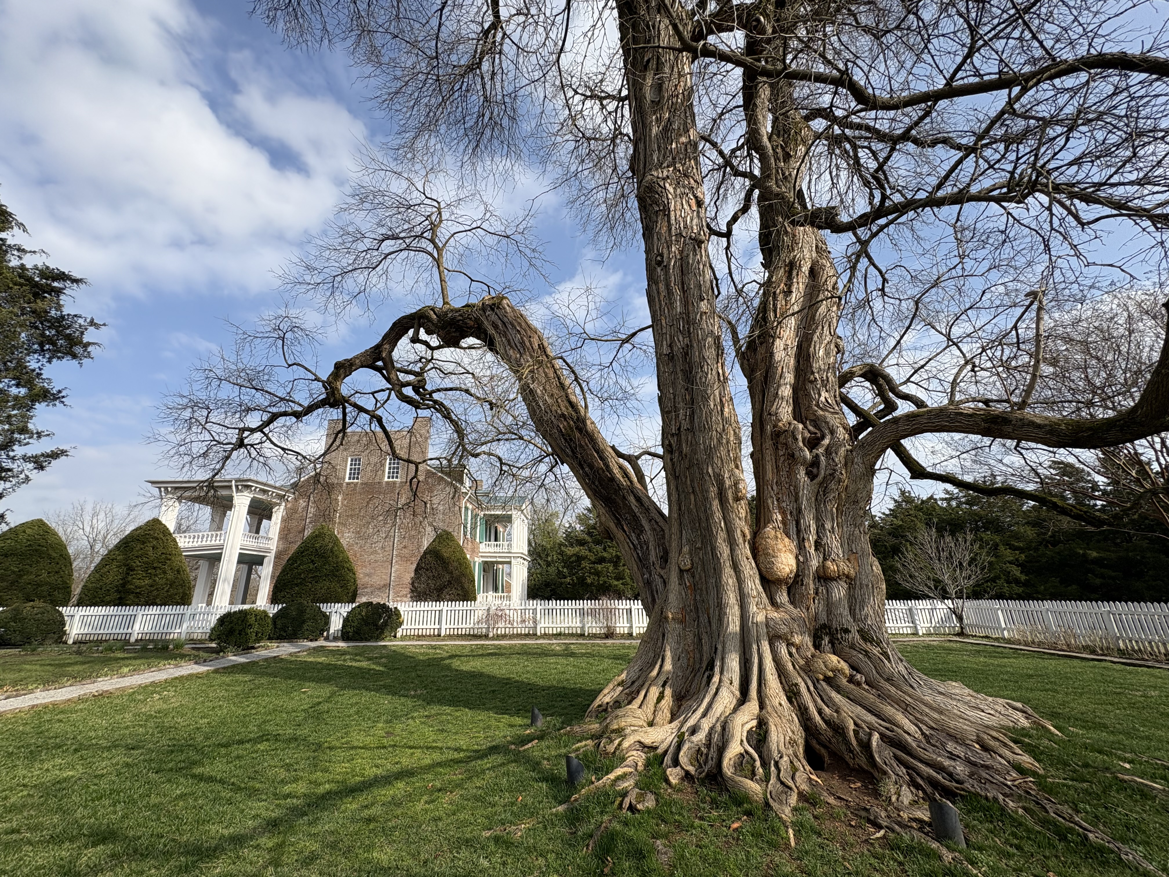 Carnton mansion