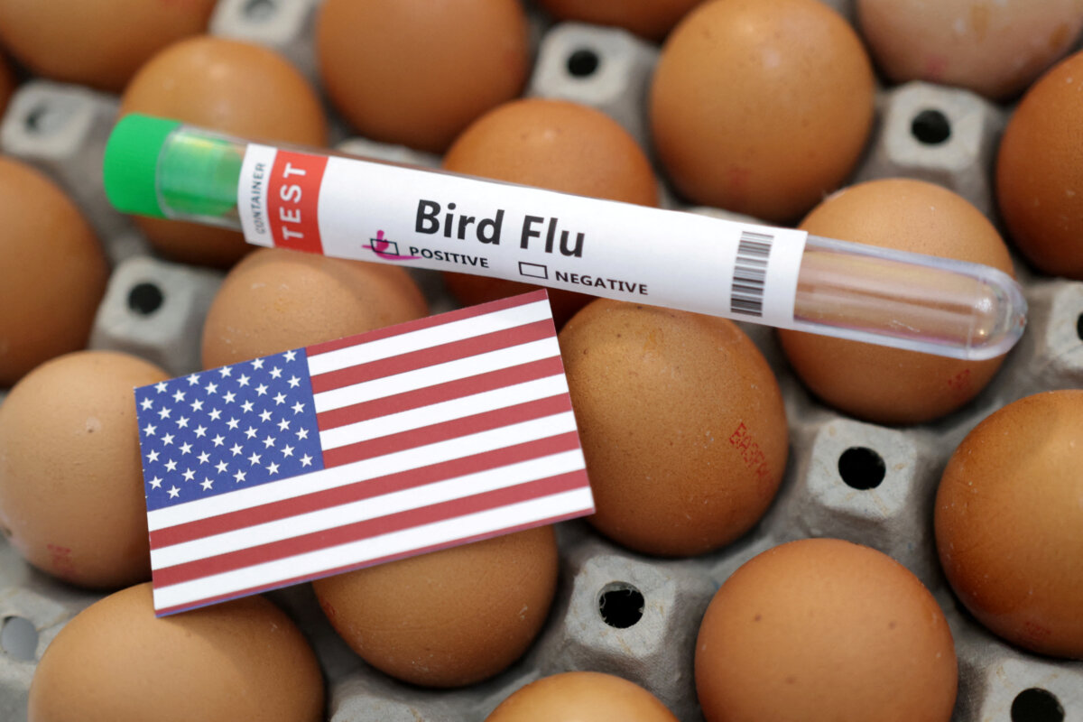 A test tube labelled "Bird Flu", eggs and a piece of paper in the colours of the U.S. national flag are seen in this picture illustration, on Jan. 14, 2023. (Dado Ruvic/Reuters)