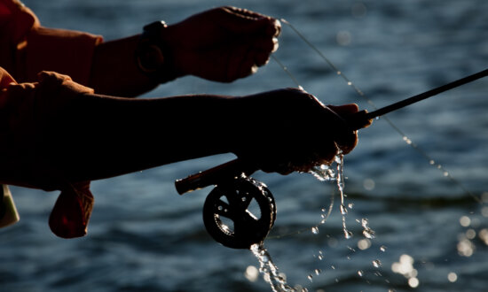 The Rise of the Skillcation: What to Know About Latest Travel Trend