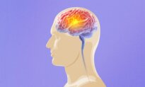 What Makes Superagers’ Brains So Special