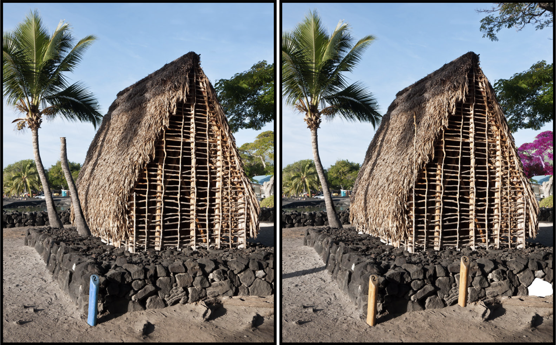 Spot the Difference Daily