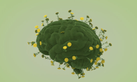 You Can Recharge Without a Nap: 7 Forms of Rest