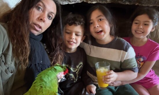 What a Parrot Taught Me About Vulnerability