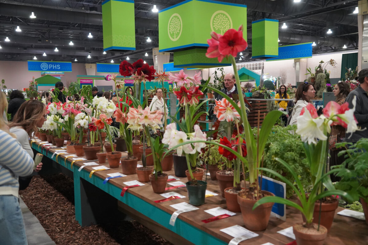 The Philadelphia Flower Show is being held at the Pennsylvania Convention Center from Feb. 28 to March 8, 2026. (William Huang/The Epoch Times)