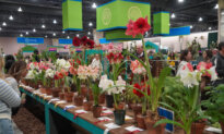 Philadelphia Flower Show: America’s Largest and the World’s Longest-Running Horticultural Event