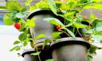Stackable Pots