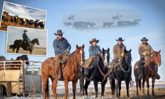 Family Keeps Cowboy Tradition Alive on 120-Year-Old Colorado Ranch While Producing Beef ‘Clean as Can Be’ for Home Delivery