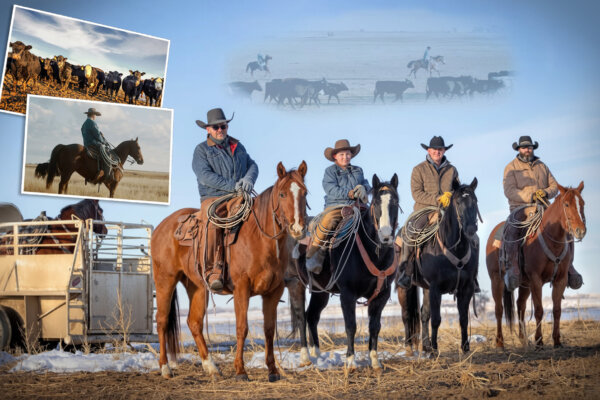 Family Keeps Cowboy Tradition Alive on 120-Year-Old Colorado Ranch While Producing Beef 'Clean as Can Be' for Home Delivery