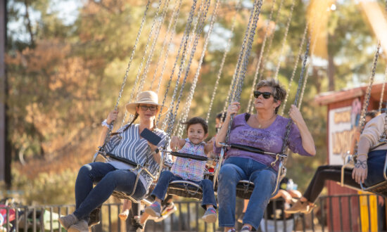 Phoenix-Area Farms: Family Fun, Fresh Picks, and Farm Magic Close to Home