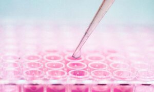 Can Your Cells Heal You? The Promises and Limits of Stem Cell Therapy
