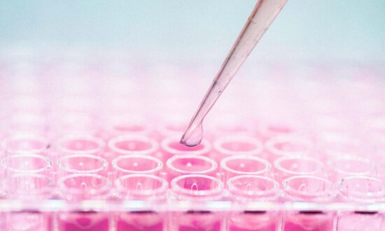 Can Your Cells Heal You? The Promises and Limits of Stem Cell Therapy