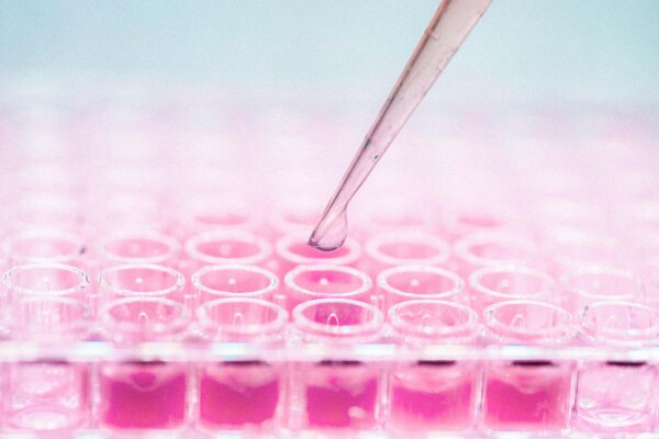 Can Your Cells Heal You? The Promises and Limits of Stem Cell Therapy