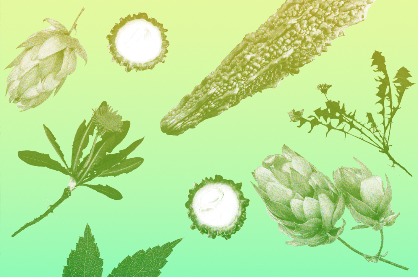 Why You Need to Eat More Bitter Foods