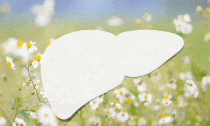 Warning Signs of Liver Imbalance and Natural Spring Renewal