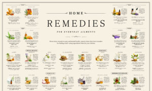 INFOGRAPHIC: Home Remedies for Everyday Ailments
